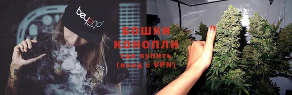 индика Богородск