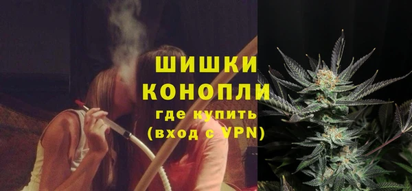 шишки Богданович