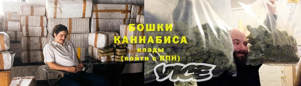 индика Губаха