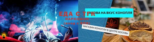 гашик Богородицк
