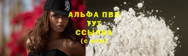 шишки Богданович