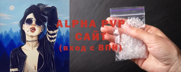 индика Богородск