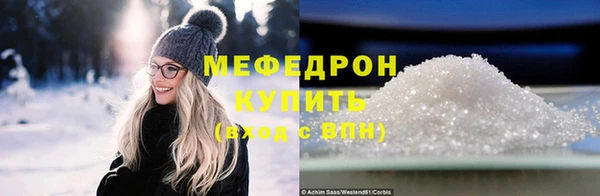 индика Богородск