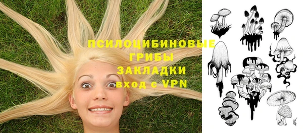 шишки Богданович