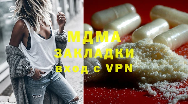 индика Богородск