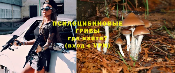 шишки Богданович