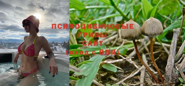 индика Богородск