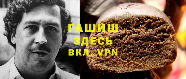 индика Богородск