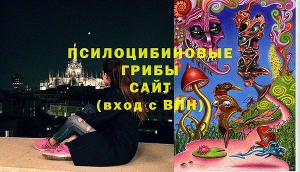 индика Богородск