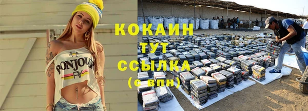 индика Богородск