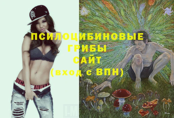 шишки Богданович