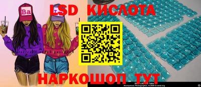 мдпв Будённовск