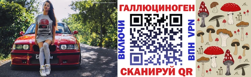 закладки  Городец  MEGA ТОР  Галлюциногенные грибы мицелий 