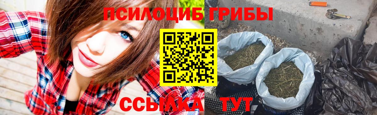 Псилоцибиновые грибы Psilocybine cubensis  Вход с VPN  Городец 